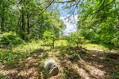 12 Abbott Lane, Chelmsford, MA 01824 - Photo 32