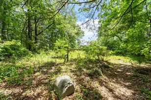 12 Abbott Ln, Chelmsford, MA 01824 - Photo 32