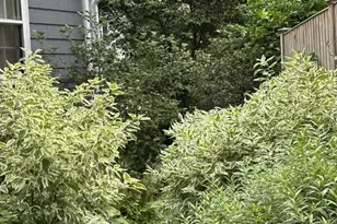 10 Hillsdale Rd, Arlington, MA 02476 - Photo 36