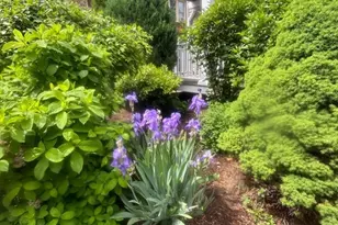 16 Sunset Rd, Watertown, MA 02472 - Photo 22
