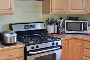 42 Castine St, Worcester, MA 01606 - Photo 8