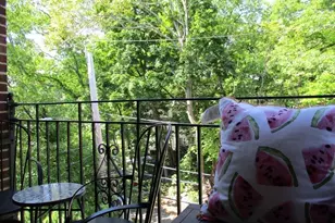 19 Colliston Rd, Boston, MA 02135 - Photo 16