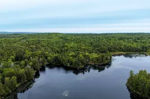 54 Bray Rd, Chesterfield, MA 01012 - Photo 12