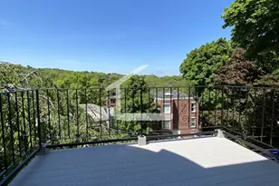 303 Tappan St, Brookline, MA 02445 - Photo 14