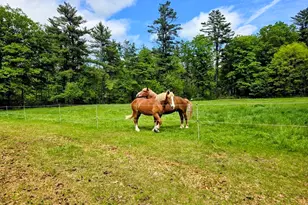 130 W Rd, Petersham, MA 01366 - Photo 38