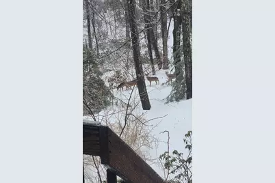 79 Pine Ridge Rd, Montgomery, MA 01085 - Photo 12