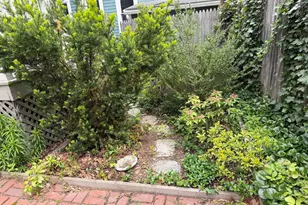 12 Chilton, Cambridge, MA 02138 - Photo 16