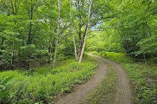 119 Buffam Rd, Pelham, MA 01002 - Photo 20