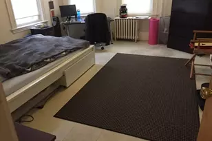 55 Hillside St, Boston, MA 02120 - Photo 6