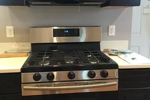 17 Alpine St, Boston, MA 02119 - Photo 4