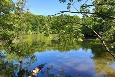 99 Pond #422, Brookline, MA 02445 - Photo 14
