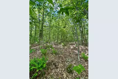 Lot 273 King Richard Dr, Becket, MA 01223 - Photo 22