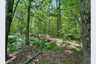 Lot 273 King Richard Dr, Becket, MA 01223 - Photo 24