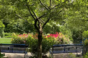 108 Peterborough, Boston, MA 02215 - Photo 18