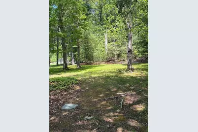 49 Alton St, Walpole, MA 02081 - Photo 4
