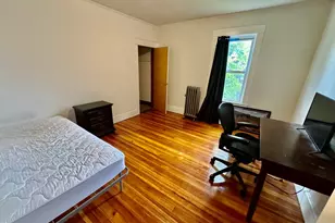 36 Plymouth St, Lowell, MA 01854 - Photo 8