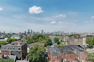 6 Moreland St, Boston, MA 02119 - Photo 16