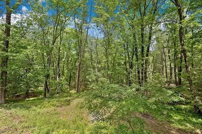 139 Stoney Lea Road, Dedham, MA 02026 - Photo 28