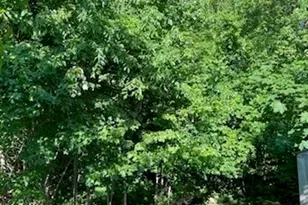 10 Crump St, Hudson, MA 01749 - Photo 32