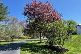 47 Springdale Ave, Dover, MA 02030 - Photo 28