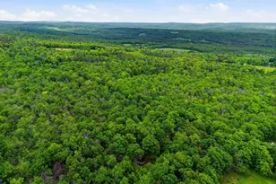 278 Ridge Rd, Worthington, MA 01098 - Photo 38
