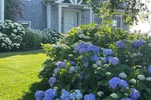 56 Stage Island Rd, Chatham, MA 02633 - Photo 36