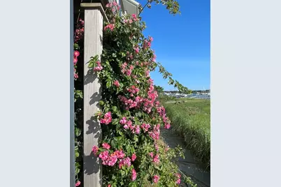 56 Stage Island Road, Chatham, MA 02633 - Photo 36