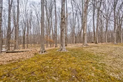 233 Franklin Rd, Longmeadow, MA 01106 - Photo 10