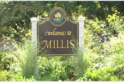 60 Hilltop Drive, Millis, MA 02054 - Photo 42