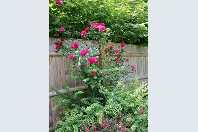 103 Wilson Ave, Framingham, MA 01702 - Photo 36