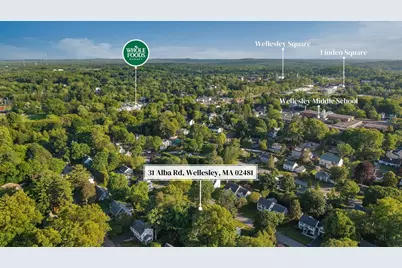 31 Alba Rd, Wellesley, MA 02481 - Photo 28