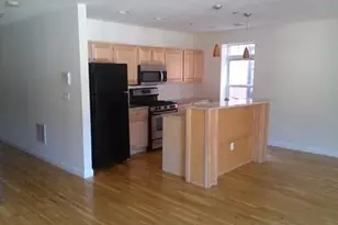 121 Homestead St, Boston, MA 02121 - Photo 2