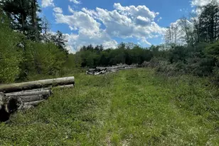 1282 Burt Hill Rd, Tolland, MA 01034 - Photo 1