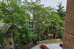 1105 Massachusetts Ave, Cambridge, MA 02138 - Photo 10