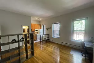 115 St Botolph, Boston, MA 02115 - Photo 4