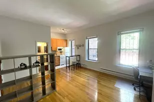115 St Botolph, Boston, MA 02115 - Photo 4