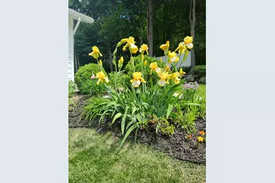 20 Drexel St, Worcester, MA 01602 - Photo 16