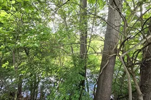 189 Springfield Rd, Westfield, MA 01085 - Photo 2