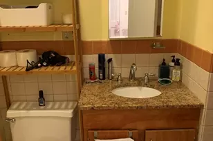 17 Gibbs St, Brookline, MA 02446 - Photo 6