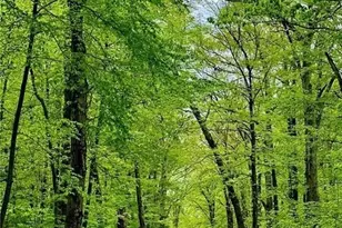 245 Reservoir Rd Lot 1, Smithfield, RI 02859 - Photo 12