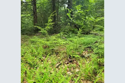 0 Stockwell Road, Royalston, MA 01368 - Photo 2