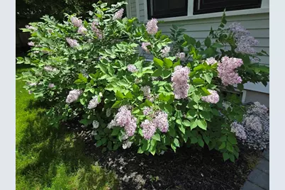 135 Williams Rd, Concord, MA 01742 - Photo 24