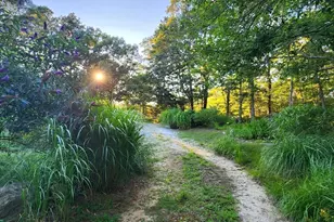 988 Crowells Bog Rd, Brewster, MA 02631 - Photo 16
