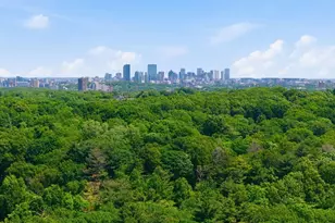 232 Allandale Rd, Boston, MA 02467 - Photo 34