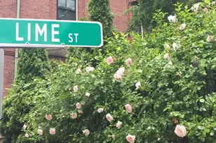 20 Lime, Boston, MA 02108 - Photo 18