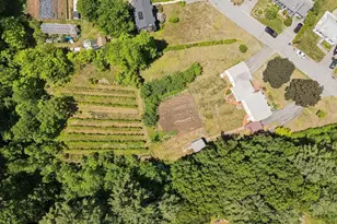 6 Anna St, Chelmsford, MA 01863 - Photo 2