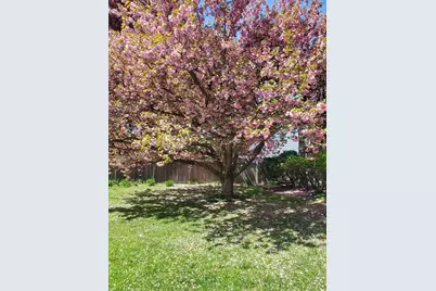 9 Mayfield Rd, Belmont, MA 02478 - Photo 2
