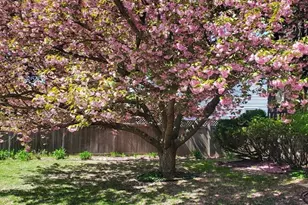 9 Mayfield Rd, Belmont, MA 02478 - Photo 2