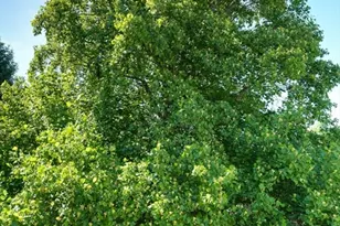 15 West St, Marlborough, MA 01752 - Photo 6