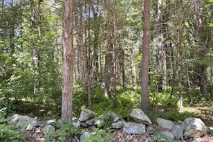 19 Whitney, Berlin, MA 01503 - Photo 1